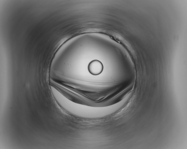 X0000111631193200908071405