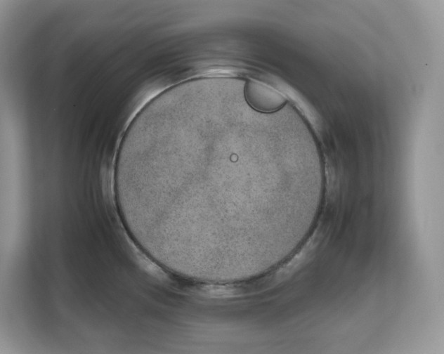 X0000111631194200908071405