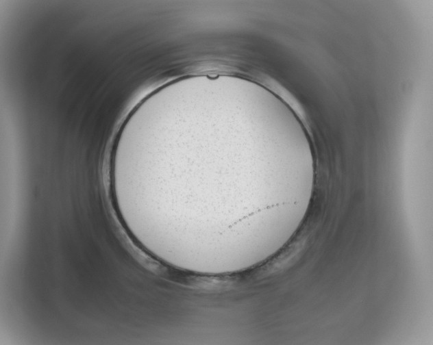 X0000111631195200908071405