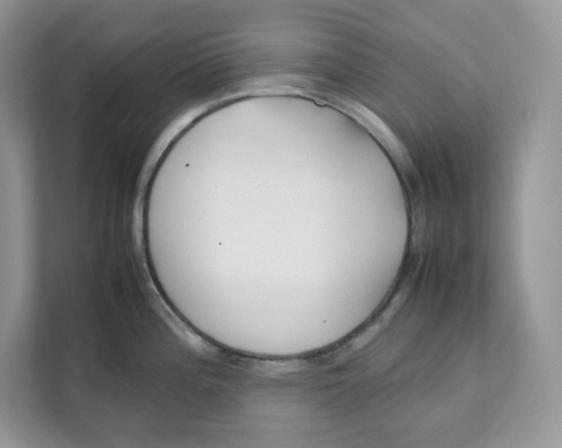 X0000111631196200908071405