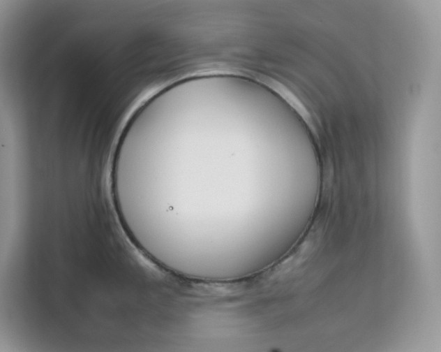 X0000111631197200908071405