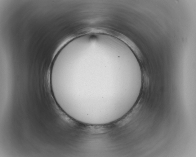 X0000111631198200908071405