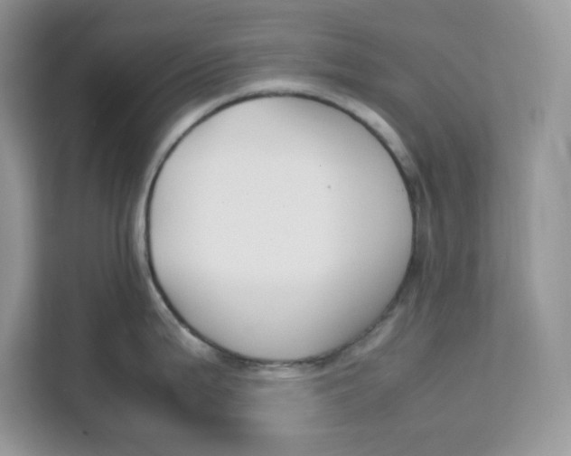 X0000111631199200908071405