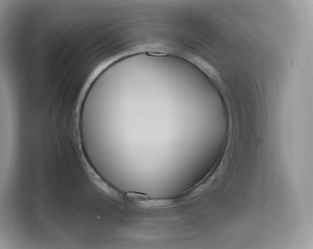 X0000111631200200908071405