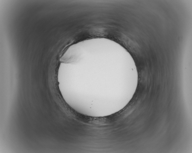 X0000111631201200908071404