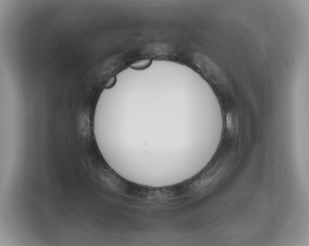 X0000111631203200908071404