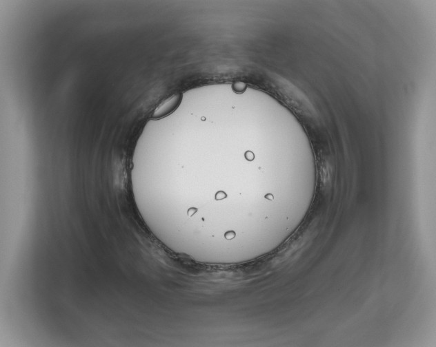 X0000111631204200908071404