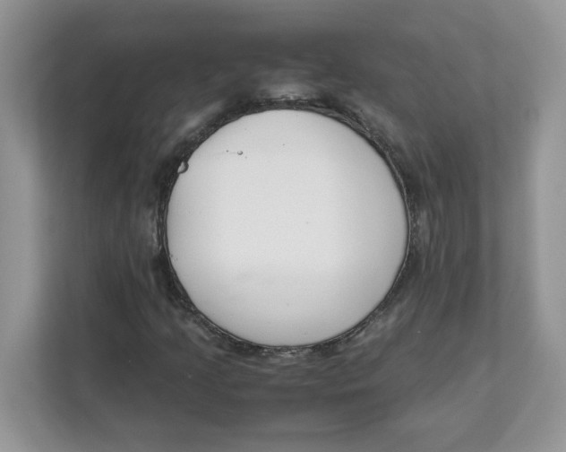 X0000111631205200908071404