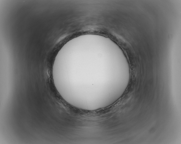 X0000111631206200908071404