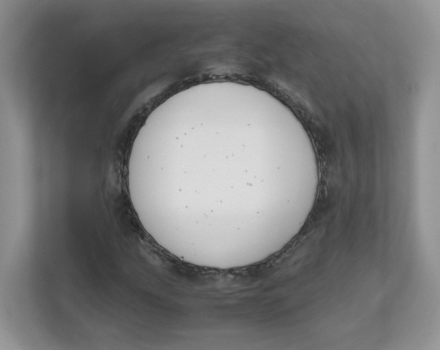 X0000111631207200908071404