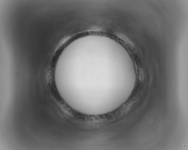 X0000111631208200908071404