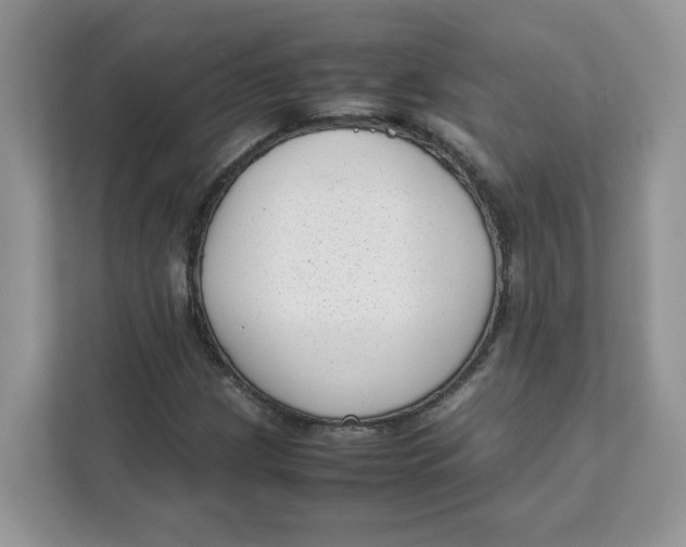 X0000111631209200908071404