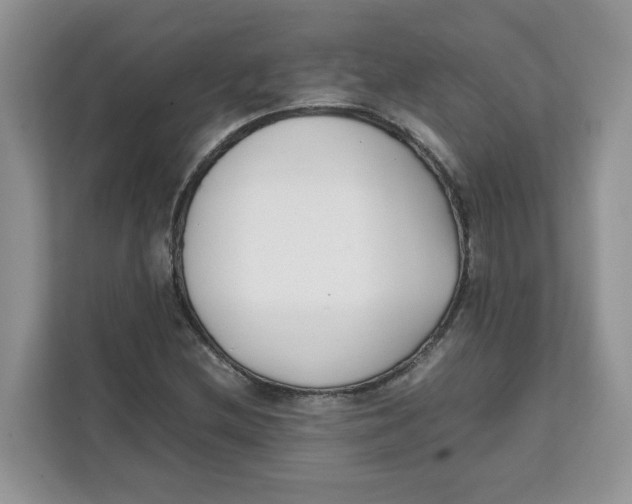 X0000111631212200908071404