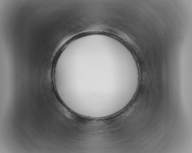 X0000111631216200908071404