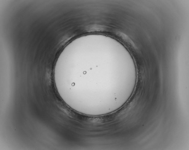 X0000111631217200908071404