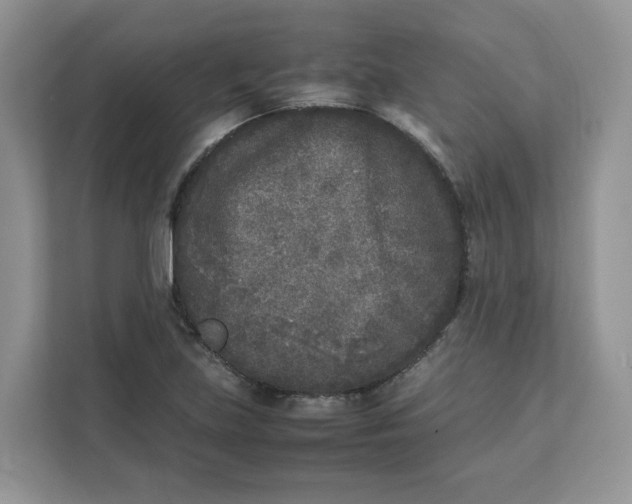 X0000111631219200908071404