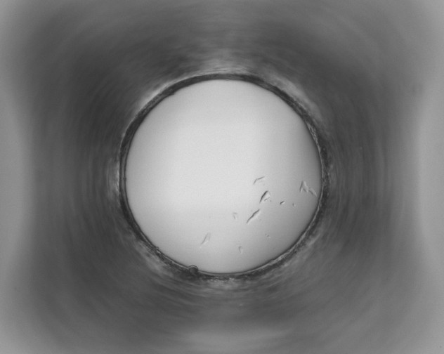 X0000111631220200908071404