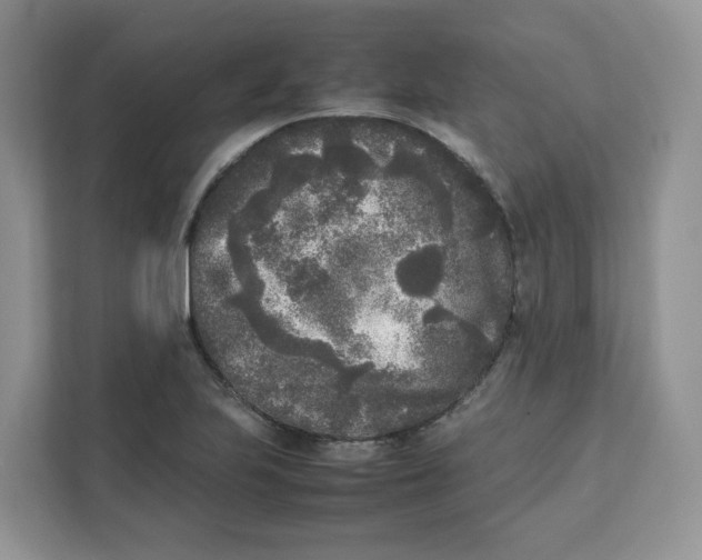 X0000111631223200908071404