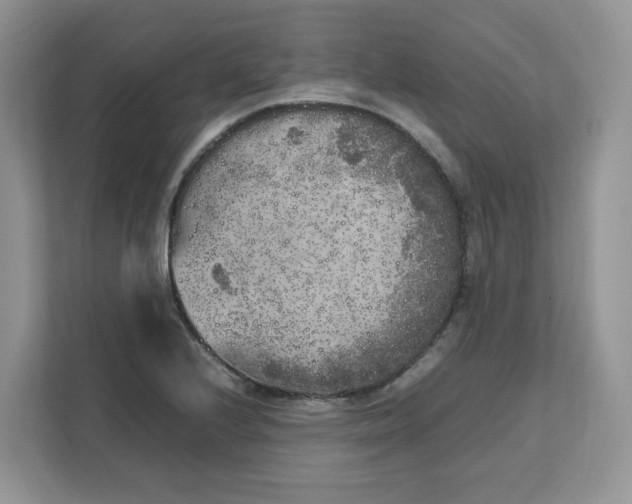 X0000111631224200908071404