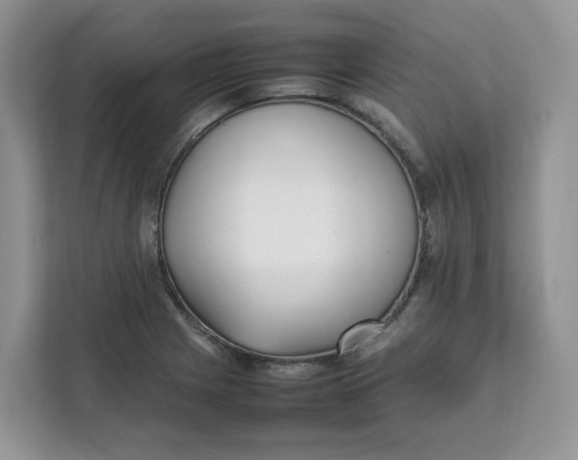 X0000111631225200908071404