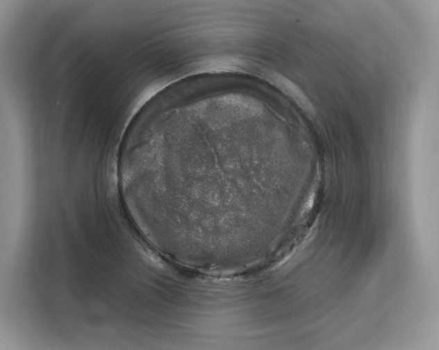 X0000111631226200908071404