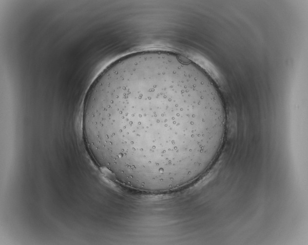 X0000111631228200908071404