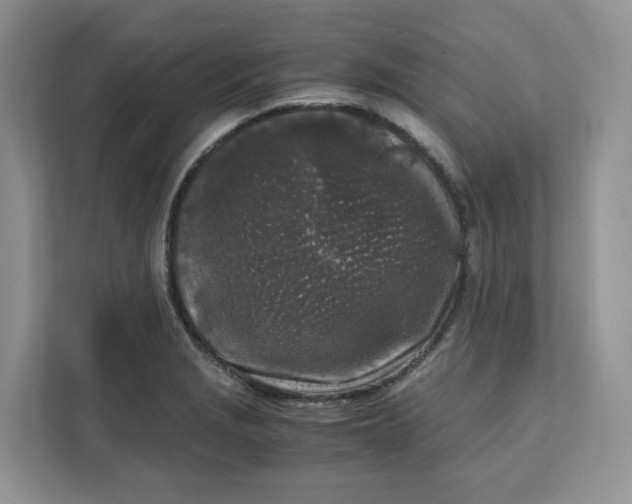 X0000111631229200908071404