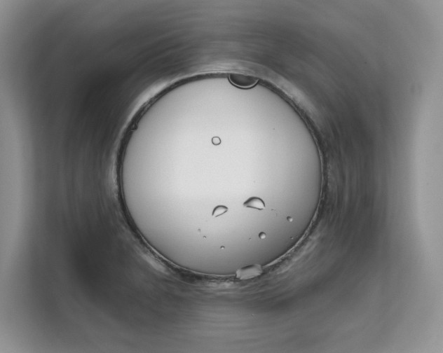 X0000111631230200908071404