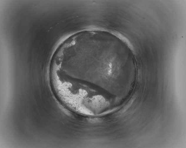 X0000111631231200908071404