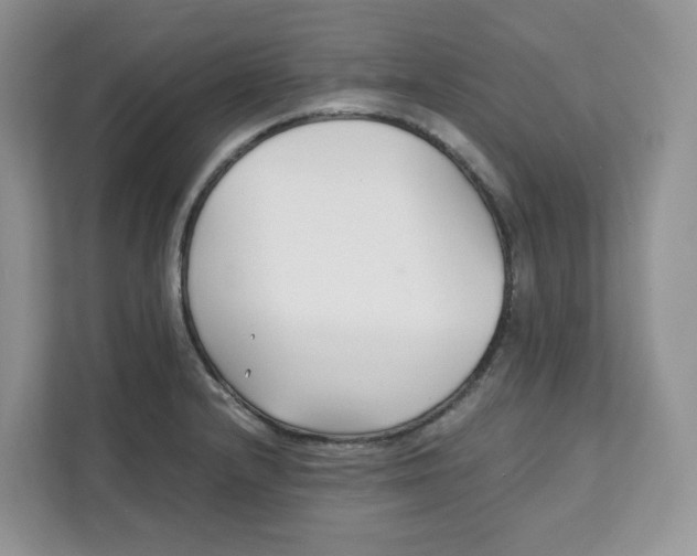 X0000111631232200908071404