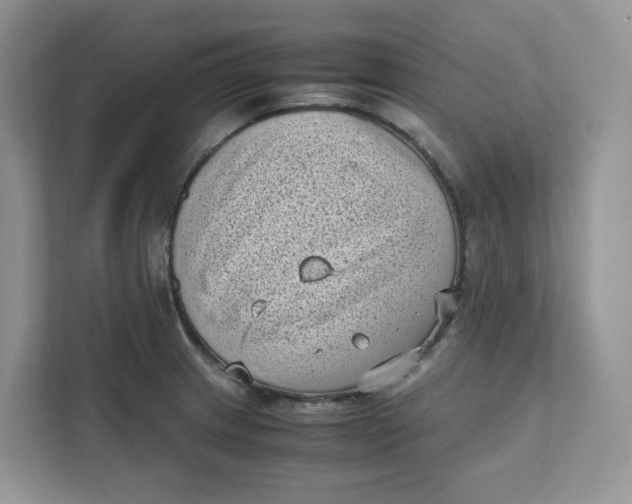 X0000111631233200908071404