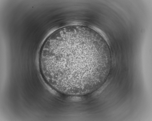 X0000111631235200908071404