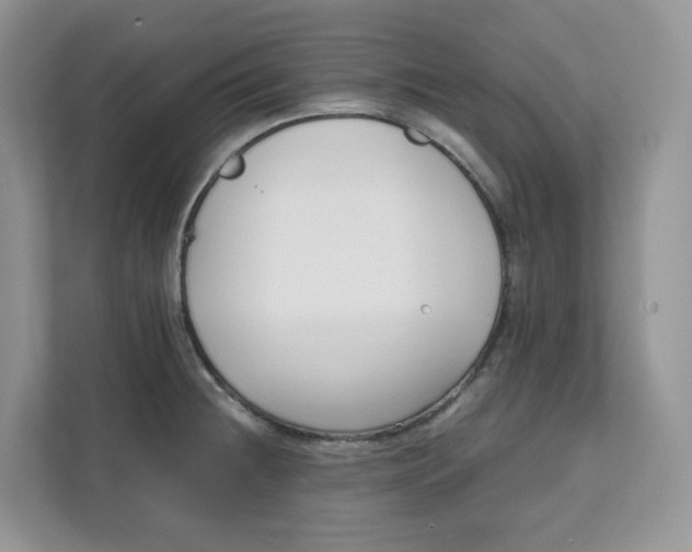 X0000111631236200908071405