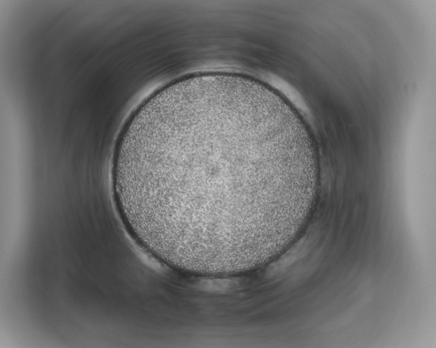 X0000111631237200908071405