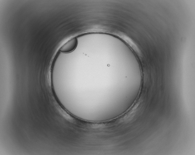 X0000111631238200908071405