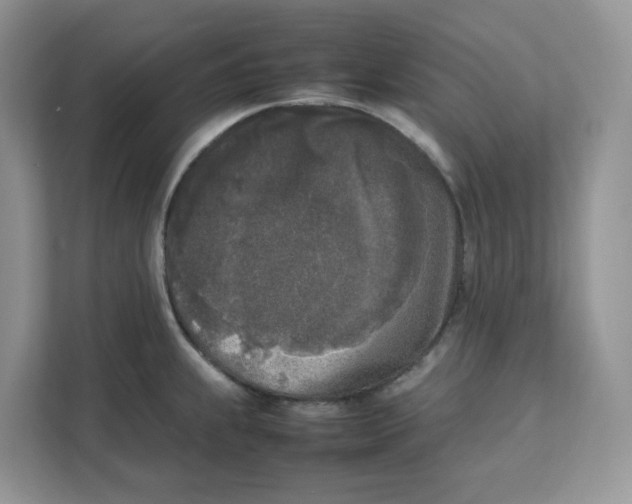 X0000111631239200908071405