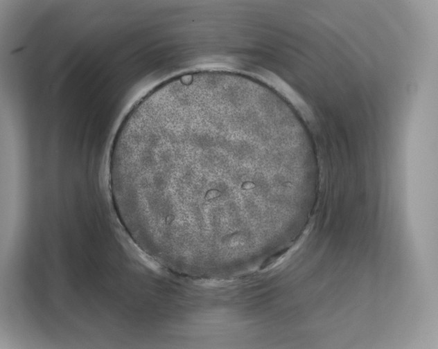 X0000111631240200908071405