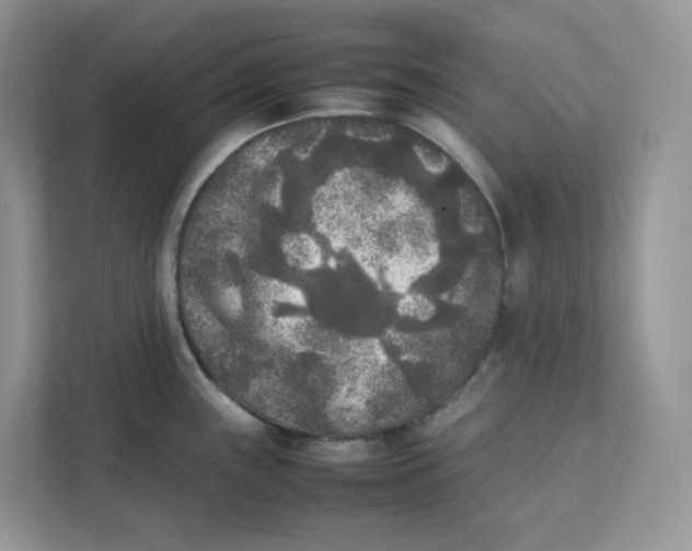 X0000111631243200908071405