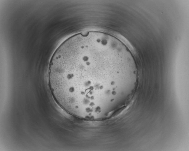 X0000111631244200908071405