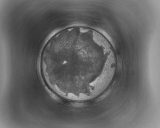 X0000111631245200908071405