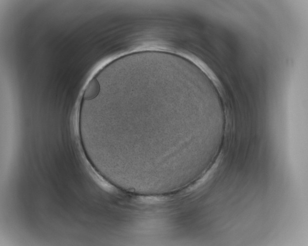 X0000111631246200908071405