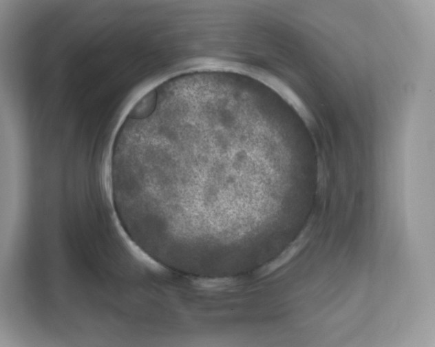 X0000111631247200908071405