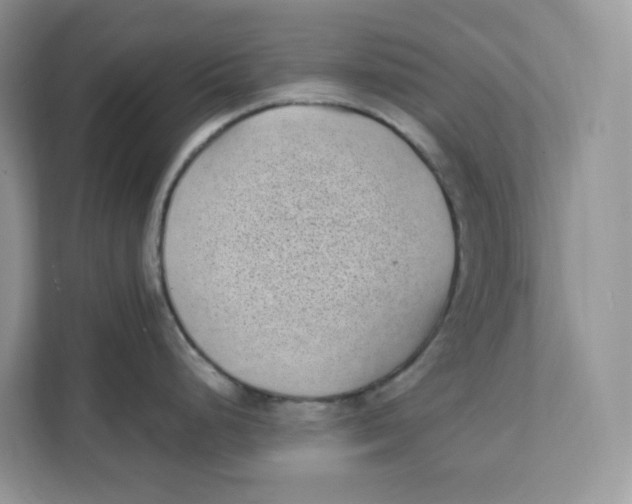 X0000111631248200908071405