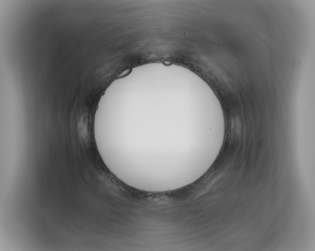 X0000111631250200908071404