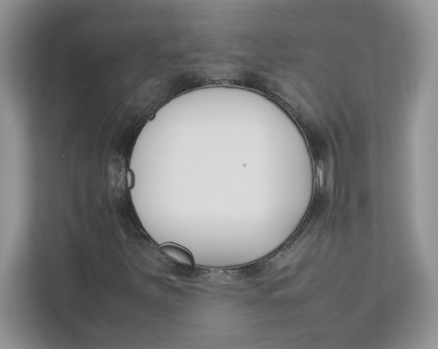 X0000111631251200908071404