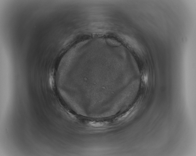 X0000111631252200908071404