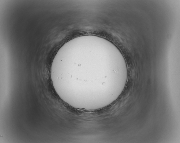 X0000111631253200908071404