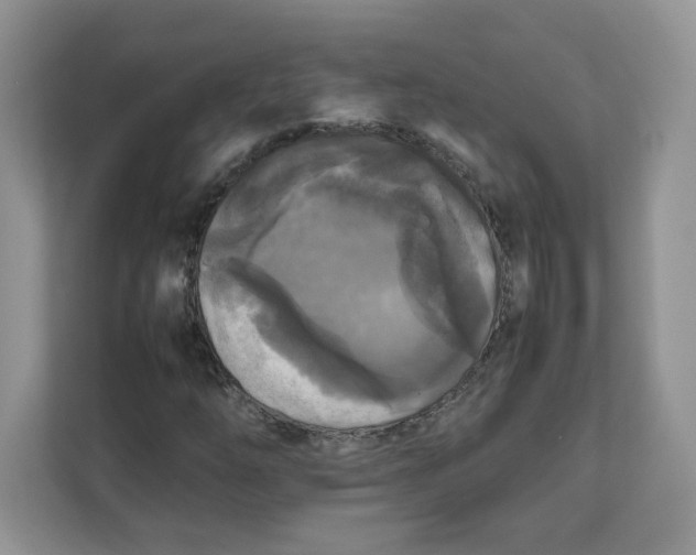 X0000111631254200908071404