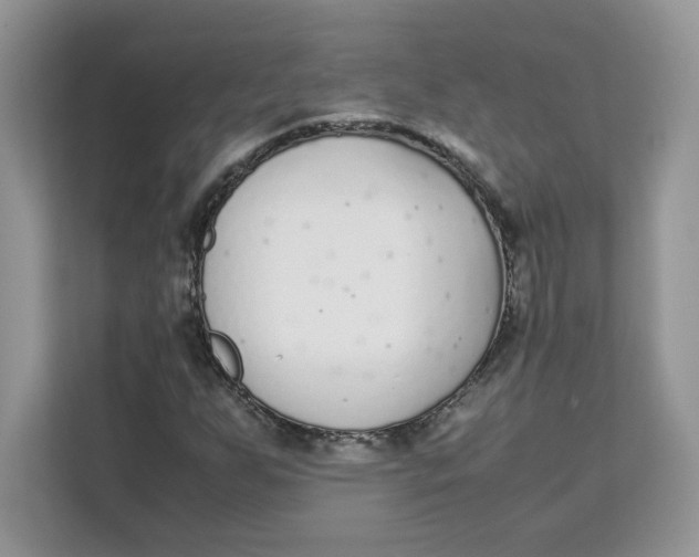 X0000111631255200908071404