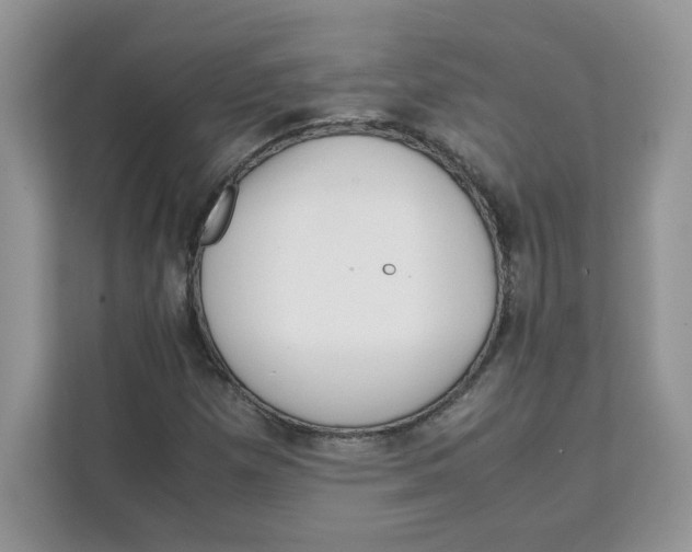 X0000111631257200908071404